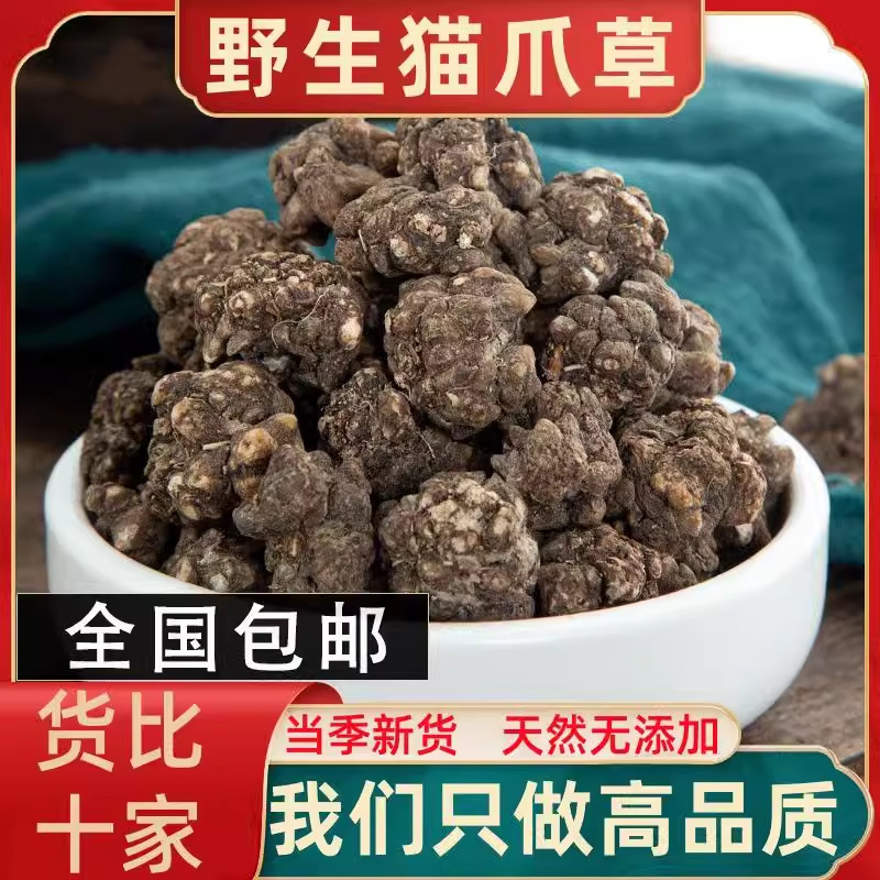 野生の猫の爪草 漢方薬原料 本物の漢方薬 猫の爪草スープ お茶 洗浄 厳選された高原と山の野生|undefined