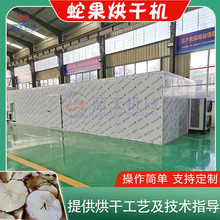 蛇果烘干机 鸡心果五角果苹果水果切片烘干整套设备 蛇果干烘干房