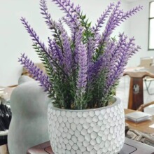 ����Gֲ���ԁ��R�d޹�²�ˮ�����辰�Ҿ��b���������[��С����