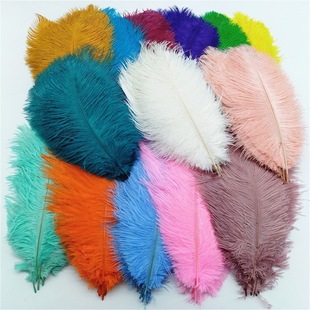 10-15cm�r�BëԴ�^�S��ֱ�I���l�F؛��Y�b���ëDIY��ˇƷ����