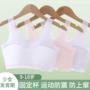 运动一体固定大童内衣