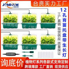 亚马逊新款12孔加厚高盖带灯育苗盆育苗盒育苗盘带小型植物生长灯