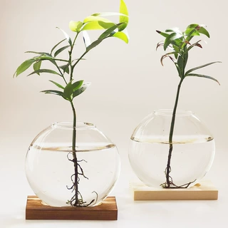 创意木座水培玻璃花瓶 绿萝植物透明花盆 家居装饰办公室桌面摆件
