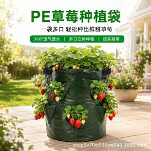 �羳PE��ݮ�Nֲ���Ӻ�͸����ۯB�o����grow bagֲ����������l