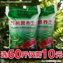 Nֲ߹NN˵ĠIBֲN෨B