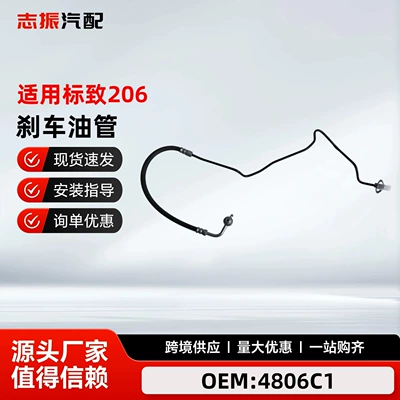 4806C1 Is Suitable for Peugeot 206 207 301 307 Citroen C2 C3 Brake Oil Iron Pipe Brake Master Cylinder Oil (Tubing)
