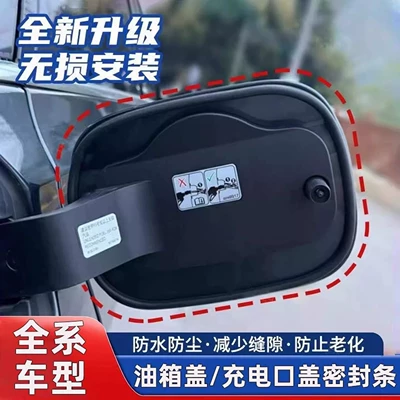 Car fuel tank lid sealing strip, Vehicle Sealing Strip - car-fuel-tank-cap-sealing-strip-2-pieces