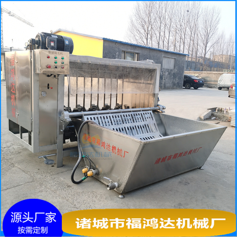 用户叫好的猪刨毛机 小藏猪全自动打毛机 褪毛干净猪脱毛机