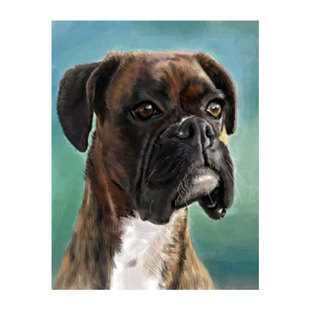 ȭ��Ȯ��ɫ�󹷄����ʯ����Ʒ�c�ʯ�N��ʮ�ֽ����l�M��ʯ��