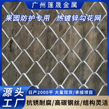 菱形热镀锌养殖围网铁丝网圈地镀锌勾花网边坡绿化金属网广东厂家