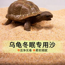 ڹ궬ɳרɳ׵ײɰʯȻ쾰ϸɳ
