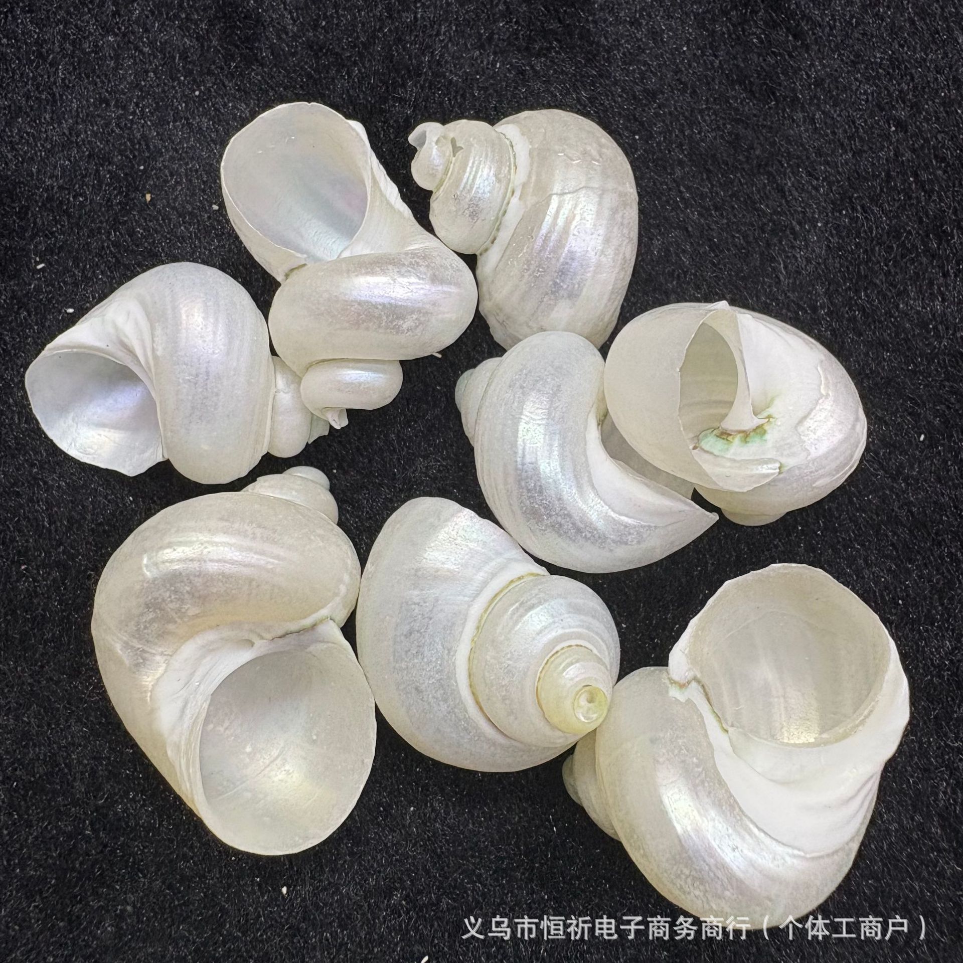 去皮绿螺 海螺吊坠 小白螺半成品饰品配件 diy海螺工艺挂件原材料-阿里巴巴