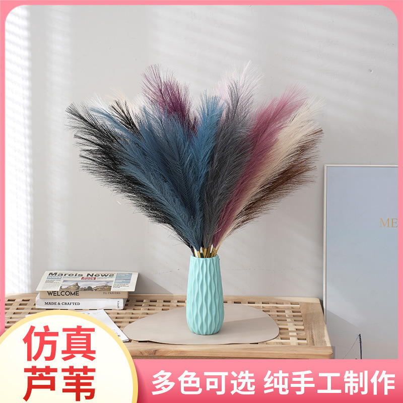 仿真芦苇蒲苇草 潘帕斯花大芦苇批发芦苇干花花束 彩色网红干花
