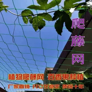Подъёмная сетка для цветоводства, посадки дынь, фруктов, люфы, винограда, фасоли, огуречных лоз, вьющихся лесов, загущения растений
