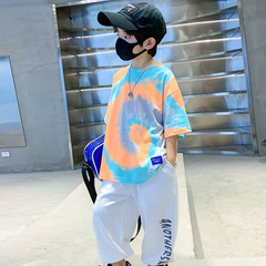 Children's Short Sleeve T-Shirt Summer Thin Version Gradient Men's Boys New Wholesale Outerwear Crew Neck Loose Big Kids Top