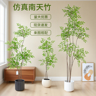 �߶��p�ݷ���Gֲ����������҃ȿ͏d�b[��ܛ�b����쾰��ֲ��