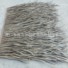 ������ĵ������ع��@���^PE����é�����X�|é�����쵾������é��