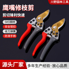鹰嘴修枝剪园艺花枝剪树枝剪园艺果树剪枝专用果枝剪加厚花艺剪刀