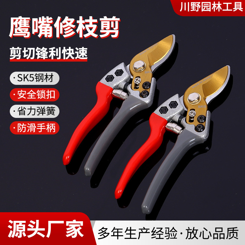 鹰嘴修枝剪园艺花枝剪树枝剪园艺果树剪枝专用果枝剪加厚花艺剪刀|undefined