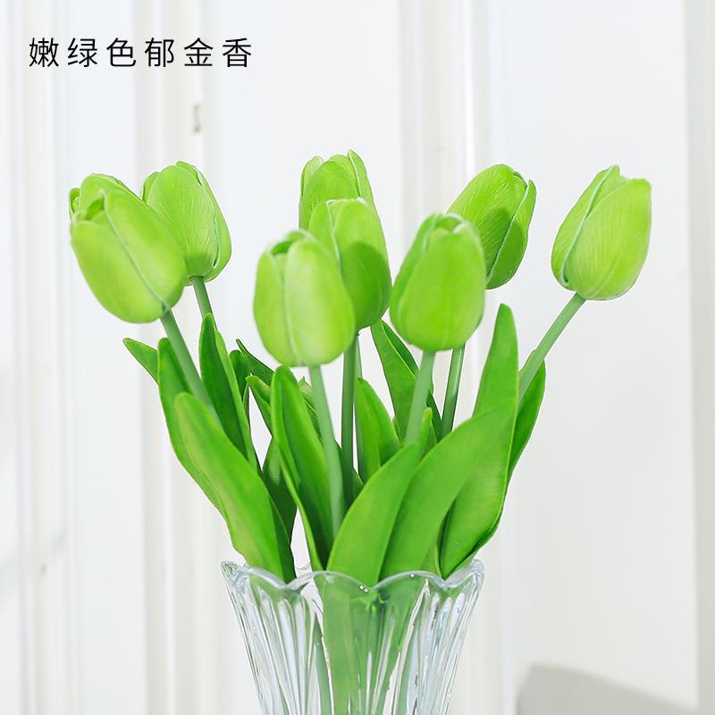 부드러운 녹색