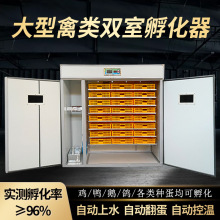 包邮二队孵化器全自动智能孵化机大型家用鸡鸭鹅鸽子鹌鹑孵化箱孵