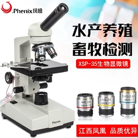 目镜、物镜;显微镜;光学机具