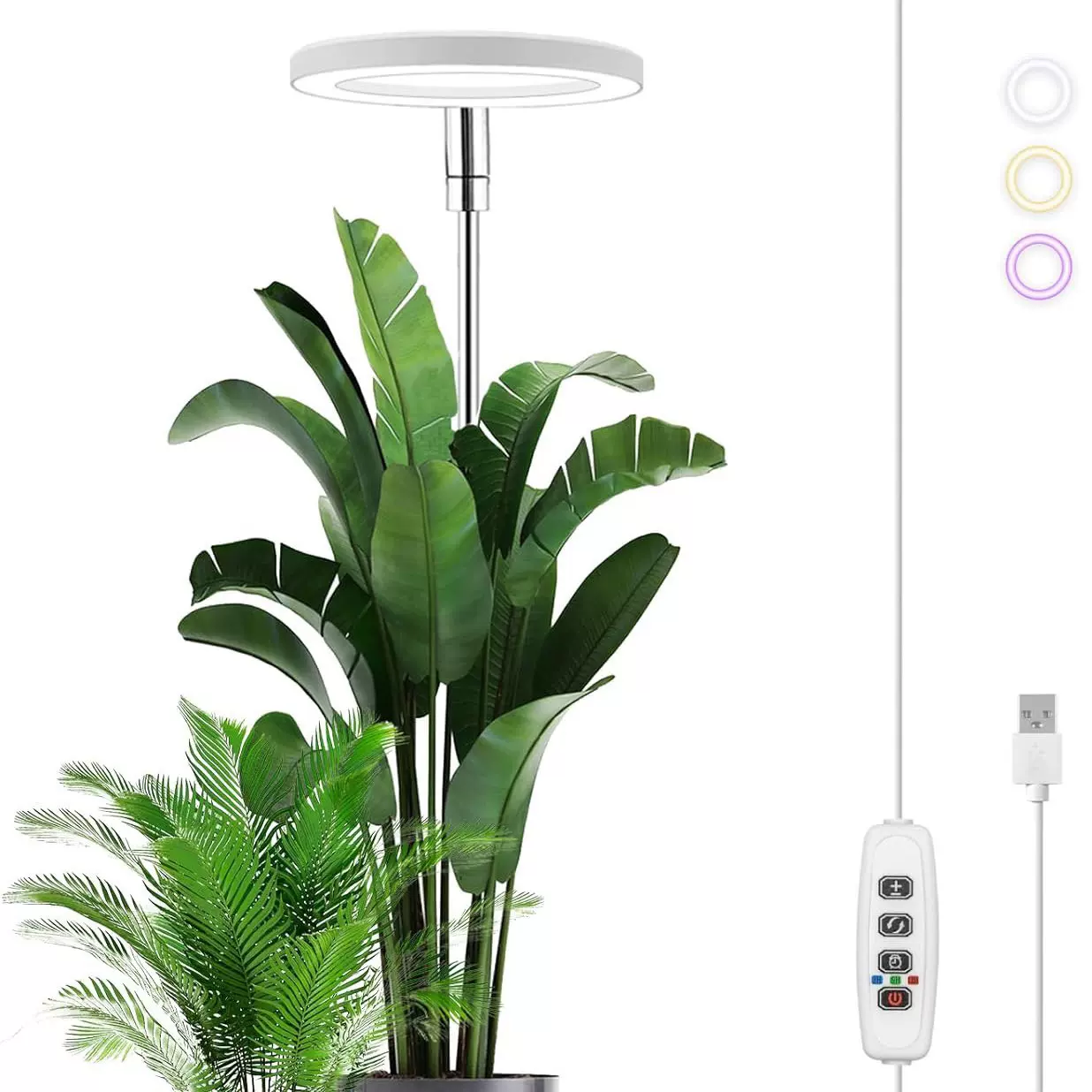 天使圆环多肉补光灯LED全光谱植物生长灯可定时植物灯三色补光灯