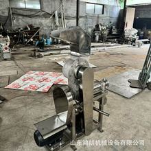 鸿朗自产自销蔬菜水果榨汁机甜橙梨子粉碎脱汁机大型压榨机