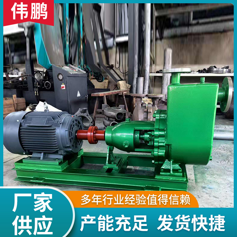 专业厂家 卧式自吸泵大流量ZXB 品质可靠