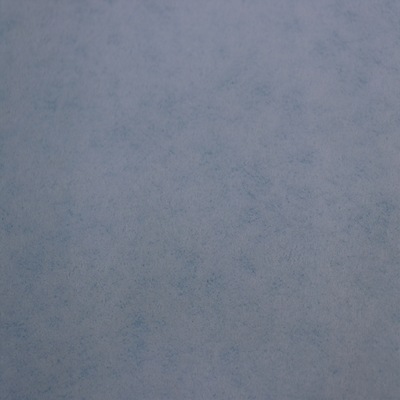 PLA polylactic acid Plain Smooth Non-woven fabric 70 Square meter wallpaper