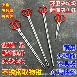 抄网头;抄网;渔业用具