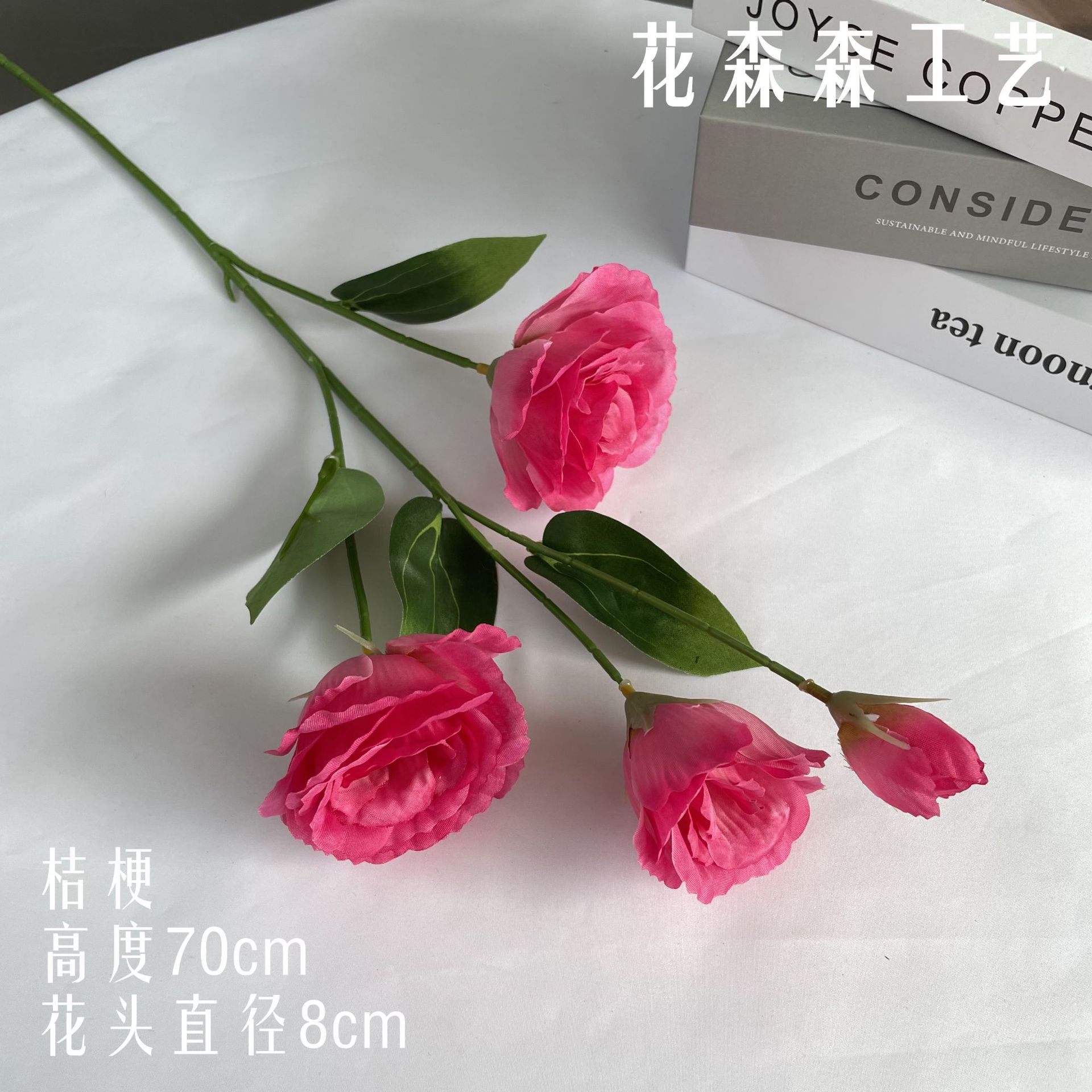 플라티코돈 151115