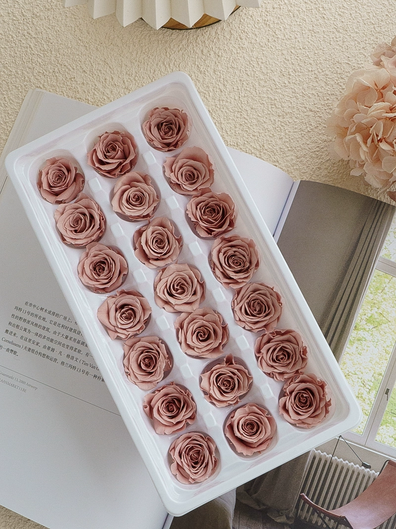 Eternal Rose head A -Class/B -Class Cabca Shengsheng Flower Handmade DIY Teacher's Day Gift Materials