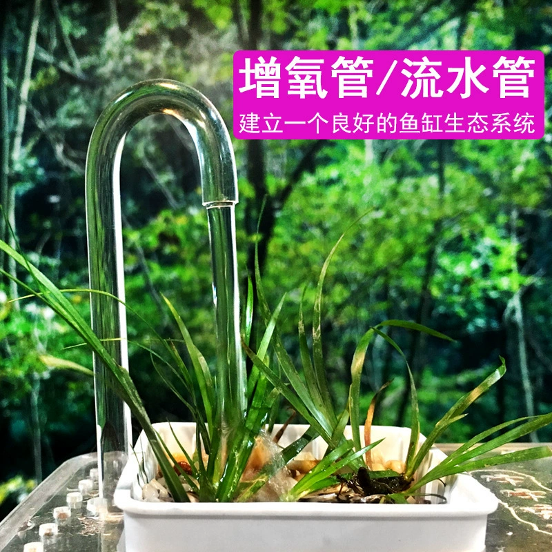 Производитель поставляет акриловой колена головки аквариумной аквариумной аквариумной аквариум с насосным прозрачным диоксидом углерода тонкодисперсный JU-тип жесткой трубки