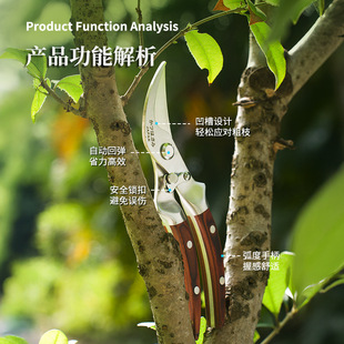 Multifunctional Anti-Slip Flower Branch Scissors Stainless Steel Pruning Scissors Multifunctional Household Fruit Branch Scissors Pruning Scissors Garden Tools
