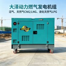 20KWȼ�����������������Ȼ��CNG/LNG��Һ����Ȼ��LPG�ȿ�ȼ����