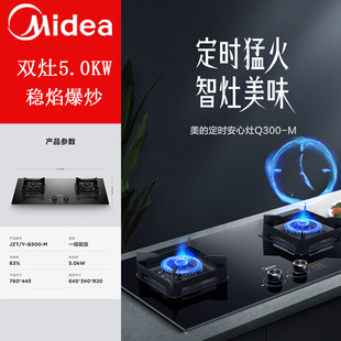 ��������ȼ������Ȼ����ú�����p�����Ƕ��ʽ���JZT-Q300-M