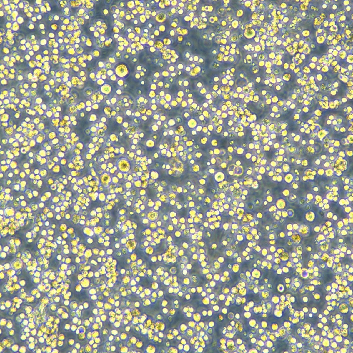 2025-11-05 15:38:01.jpg