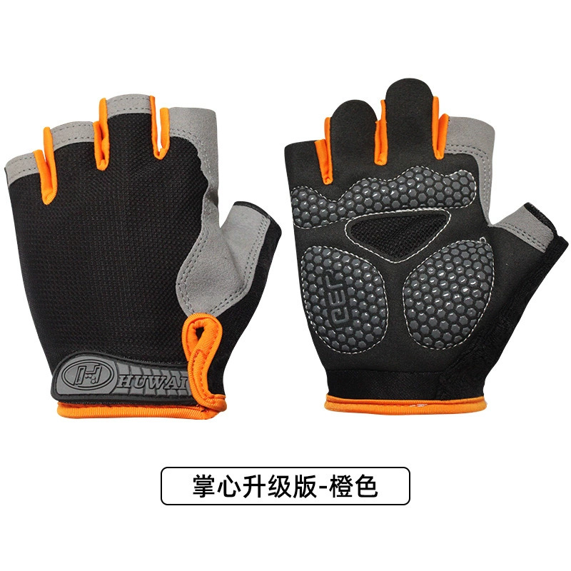 Naranja 【Actual】