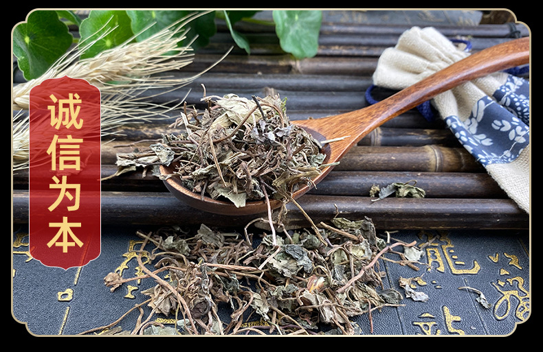 Dried Lysimachia Herb Jin Qian Cao Whole Loose Bulk Sichuan Small Leaf 500g in use