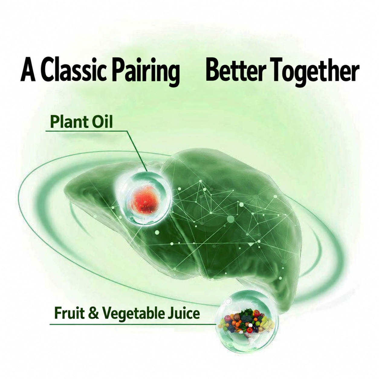 Fruit & Vegetable Enzyme Powder (Fermented Plant Blend) — Probiotic & Fiber Solid Drink Mix key features