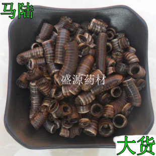 ��ș���R�  ɽ���x �ٹ��x �����x �R�p�x ǧ���x  ǧ�_�x�ӗU�x