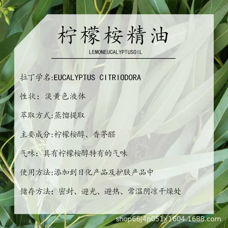 柠檬桉精油厂家供货柠檬尤加利单方精油香薰日化用原料现货|undefined