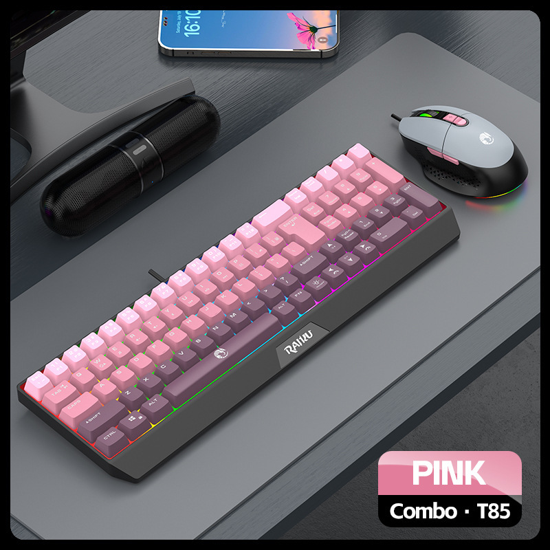 Set mouse e tastiera da gioco RAIKU T85 con illuminazione a tre colori sfumati, cablato e luminoso._voghion.com