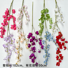 ���滨�¿��L֦�ɲ��㶹����cT̨�廨�b���·���쾰�Ĕz�羳