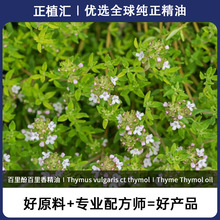 ��ֲ�R ����Ӱ����㾫�� �������� ������� �M�ڷ������ٲ�