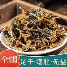 ��ˮȫϐ��؛ʮ��ȫ��ϐ�Ӹ����l�o�}ˮϴȫ�xĥ����؛��