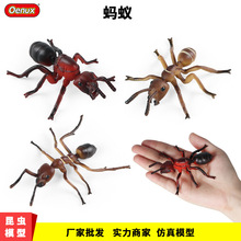 �羳���Ͻ̾߷��挍�����x����ģ�ͼtρΛρ�J֪��߈����[�����l