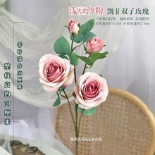 沙玫瑰 沙玫瑰品牌 图片 价格 沙玫瑰批发 阿里巴巴