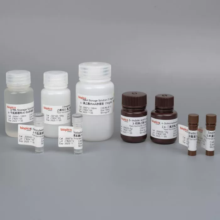 6-Бензиламинопурин/6-БА, 10г/флакон